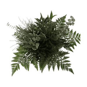 Highly Favoured - Bouquet
